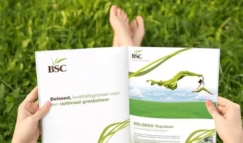 bsc-790x465-1.webp