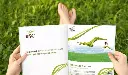 bsc-790x465-1.webp