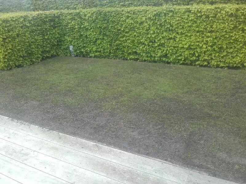 thomas-bilay-003.webp
