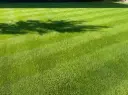 Graszoden Deluxe