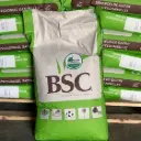 Belseed Topclass 