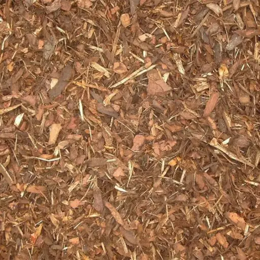 Boomschors Sylvester 15/25 